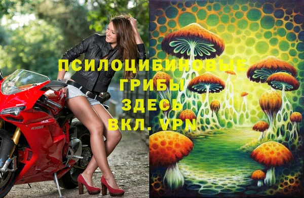бошки Алексеевка