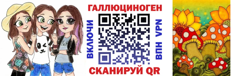 Купить закладки  Могоча  Псилоцибиновые грибы Cubensis 